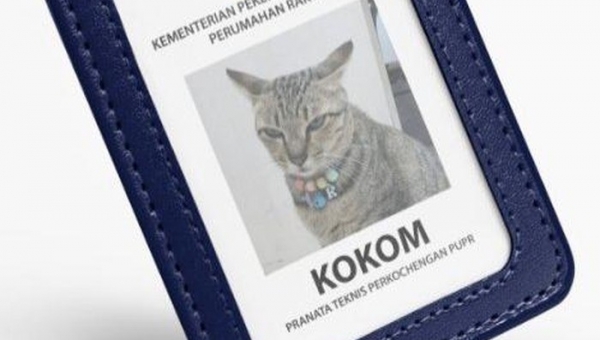 Kucing Pegawai Kementerian PUPR